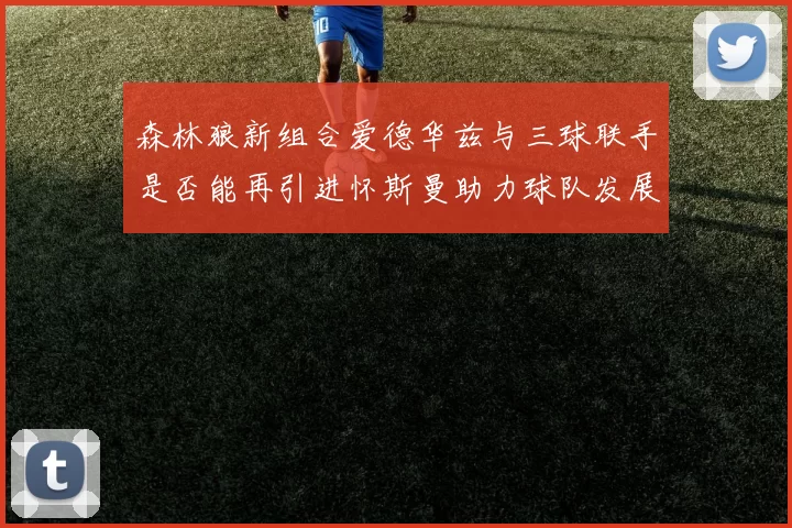 森林狼新组合爱德华兹与三球联手是否能再引进怀斯曼助力球队发展