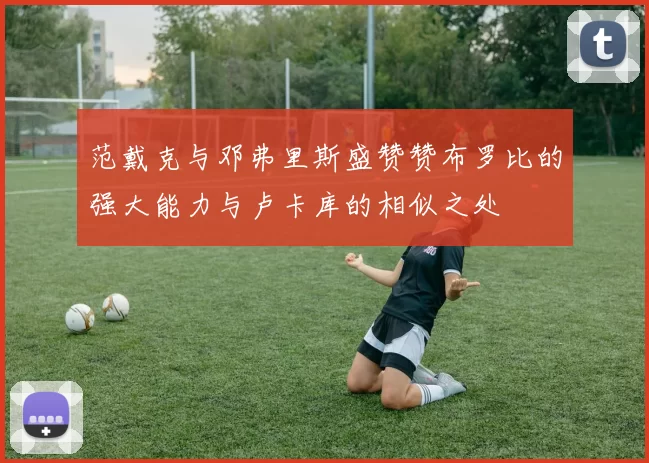 范戴克与邓弗里斯盛赞赞布罗比的强大能力与卢卡库的相似之处